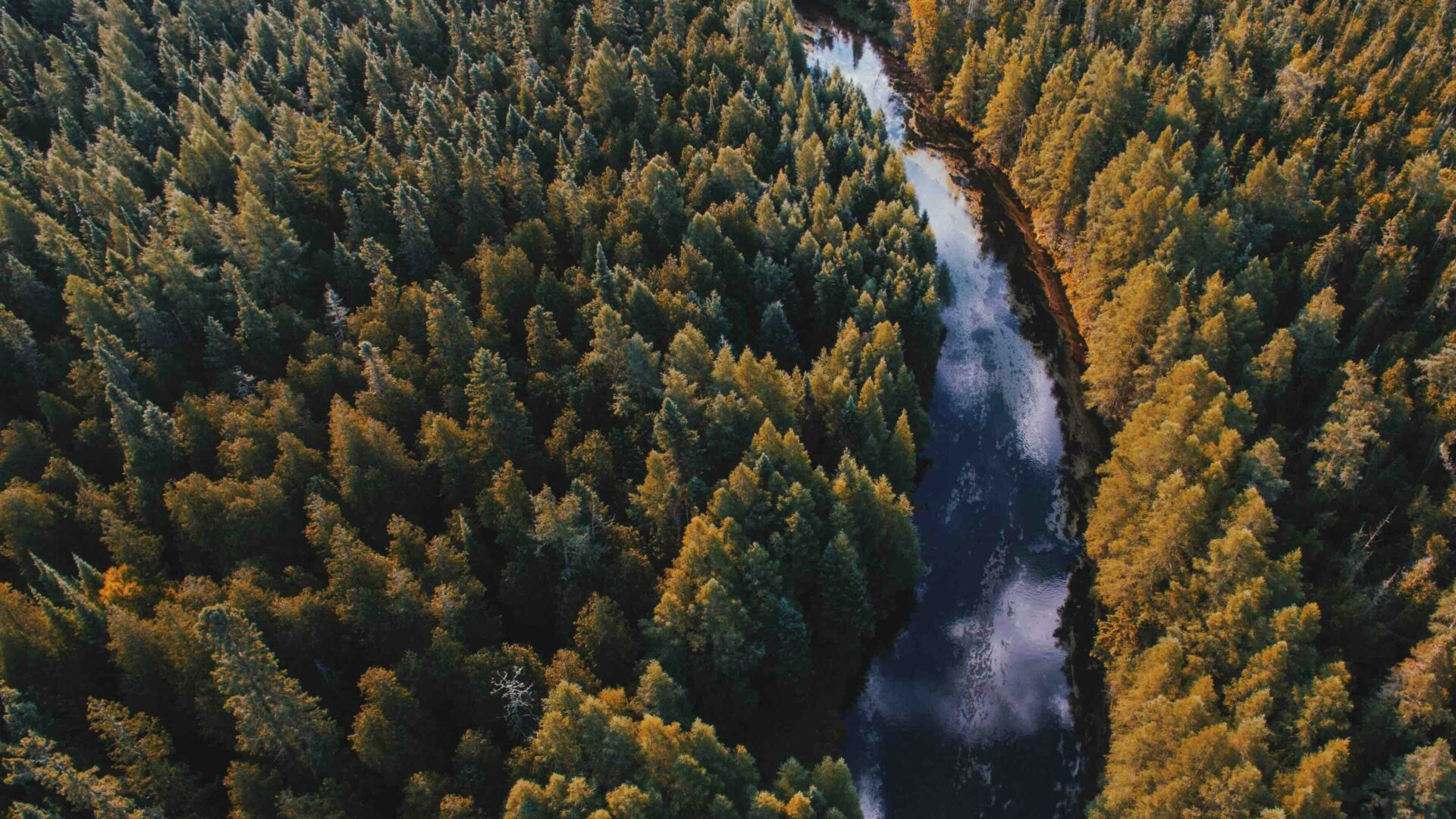 Fot. Unsplash.
