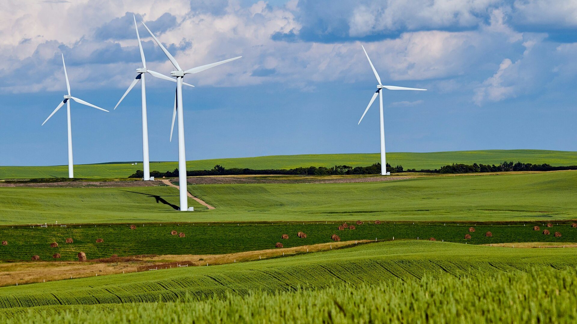 Farma wiatrowa. Fot. Unsplash