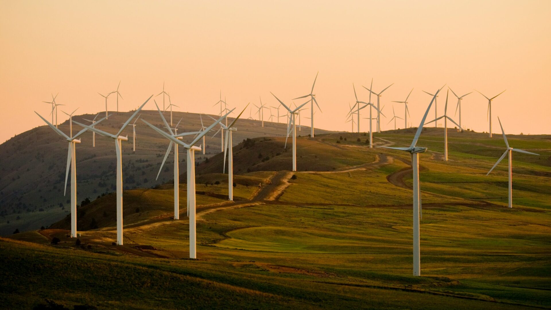Farmy wiatrowe. Fot. Unsplash.