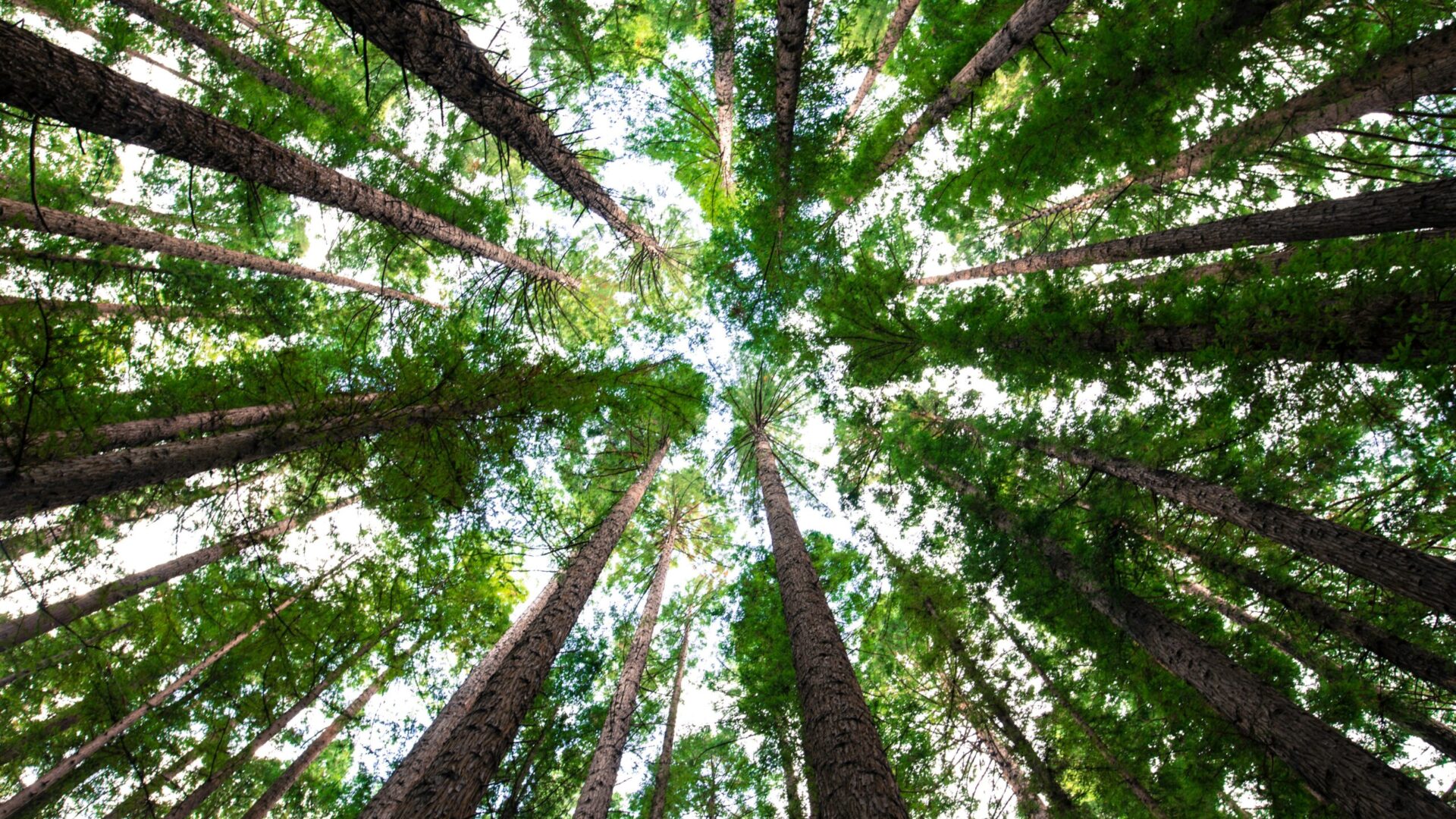 Fot. Unsplash.