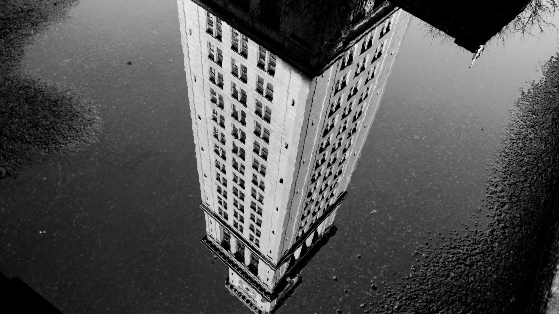 Fot. Unsplash.