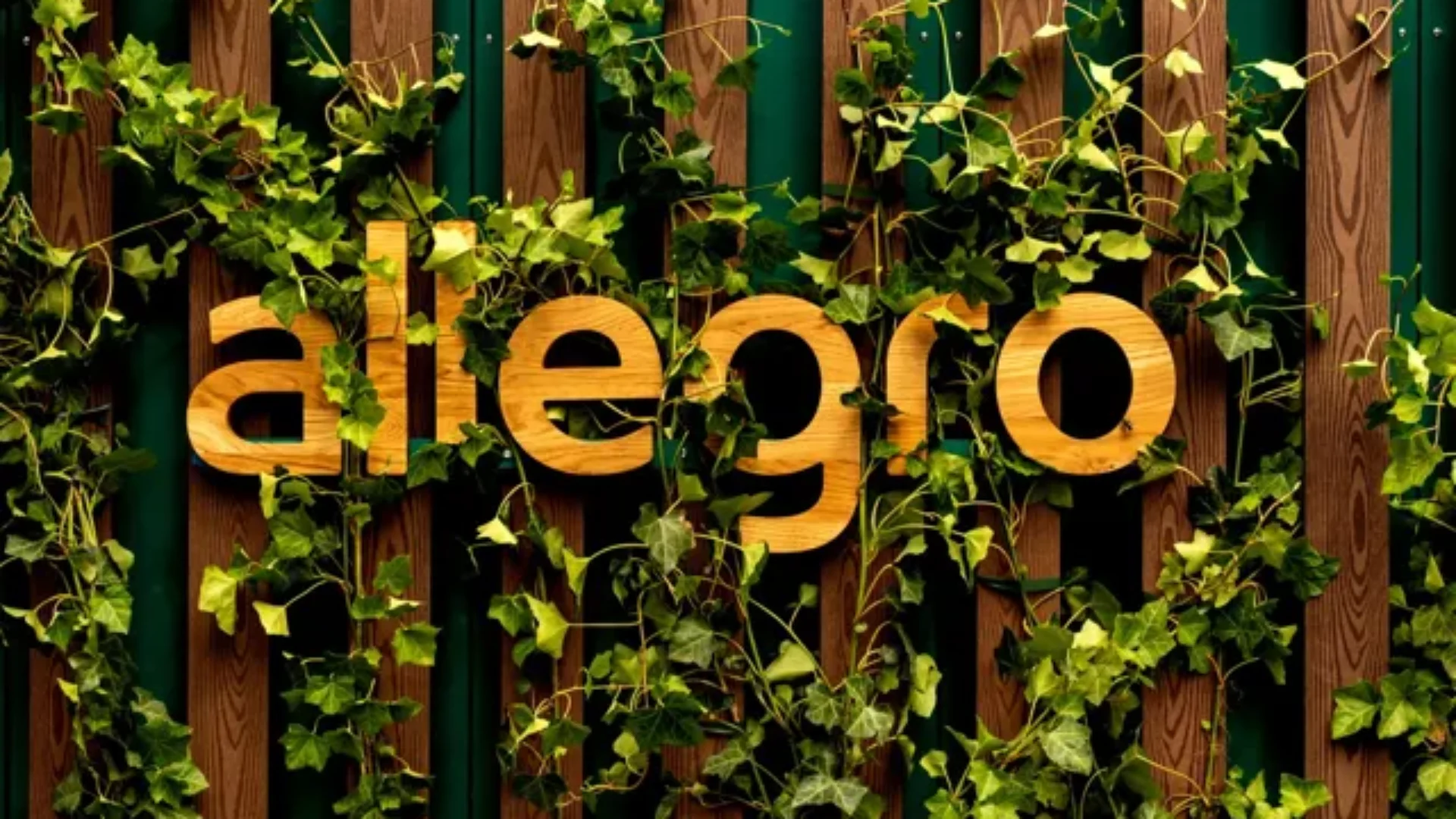 Fot. Allegro.