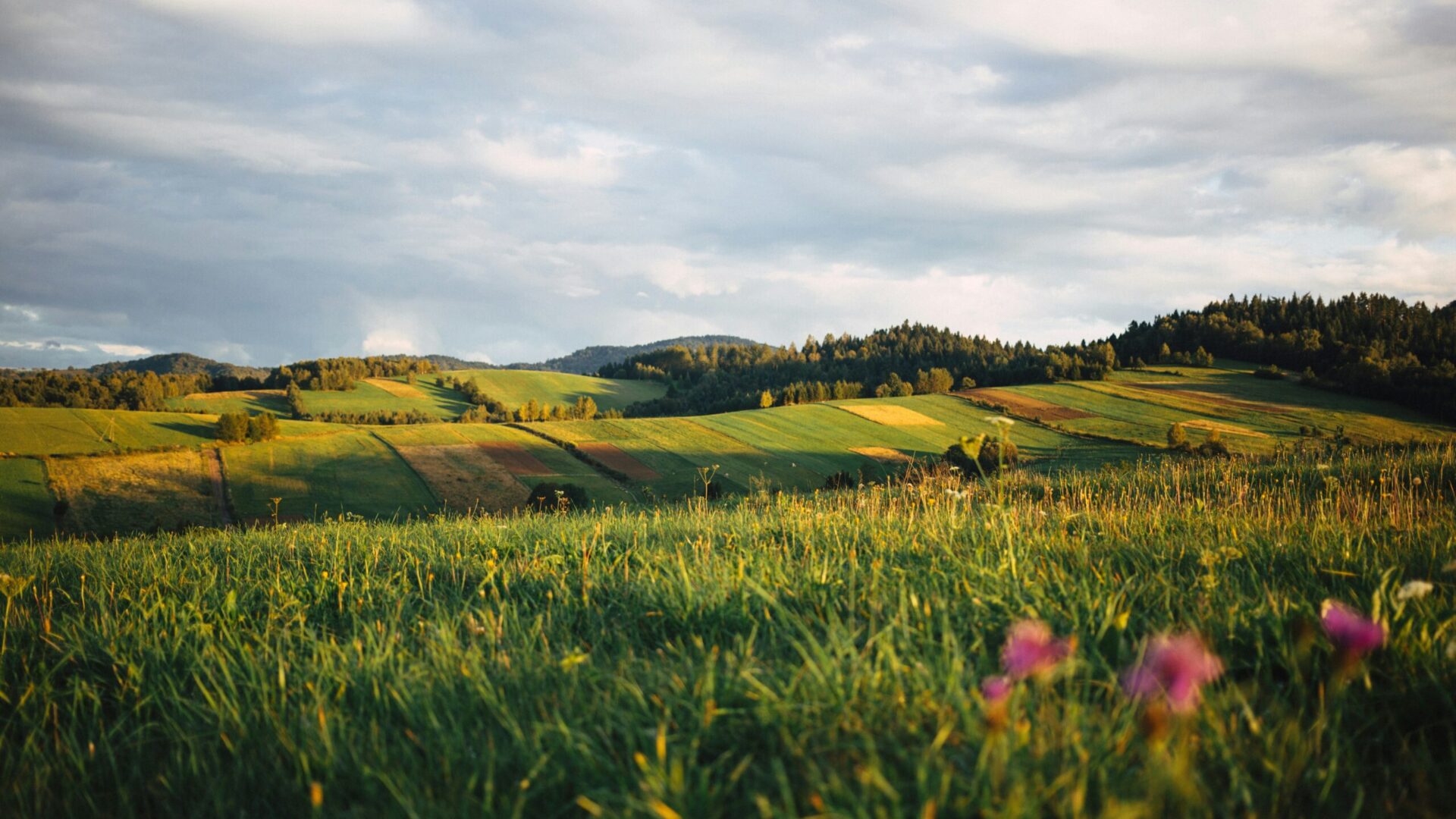 Fot. Unsplash.
