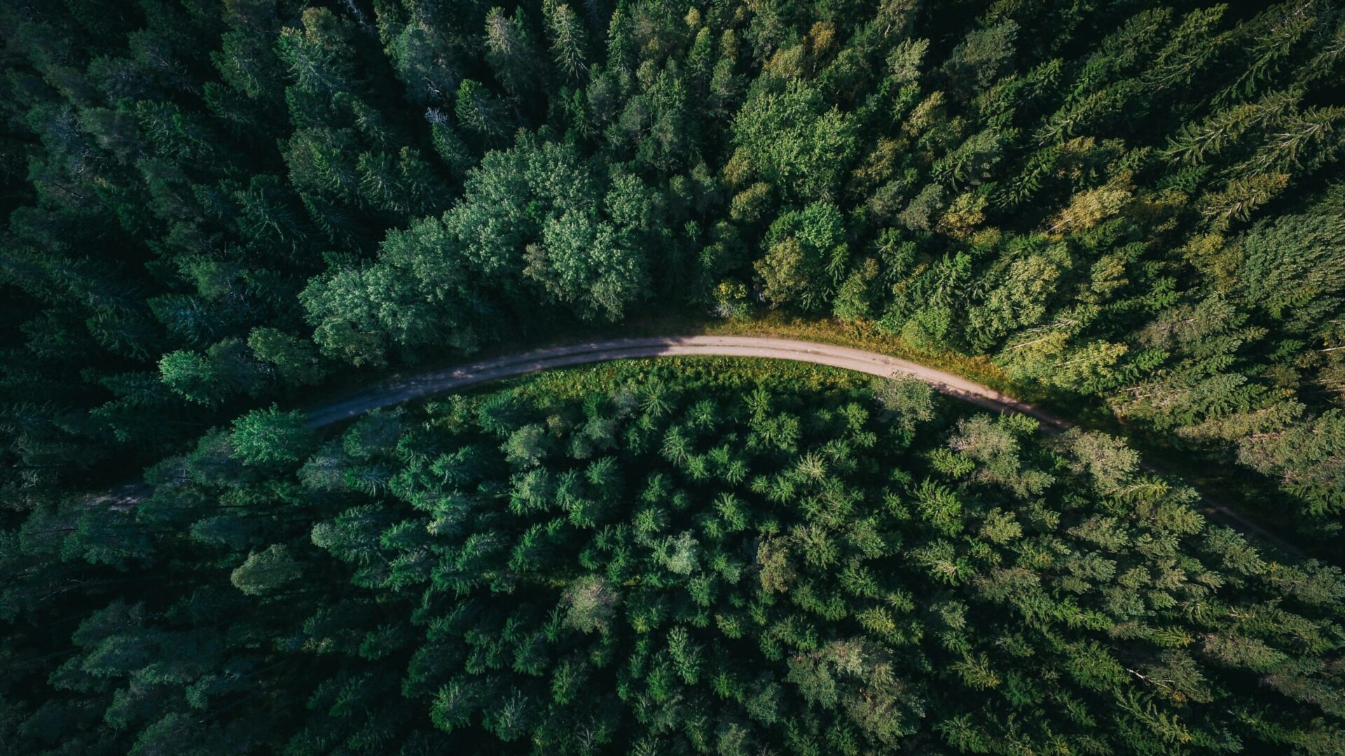 Fot. Unsplash.