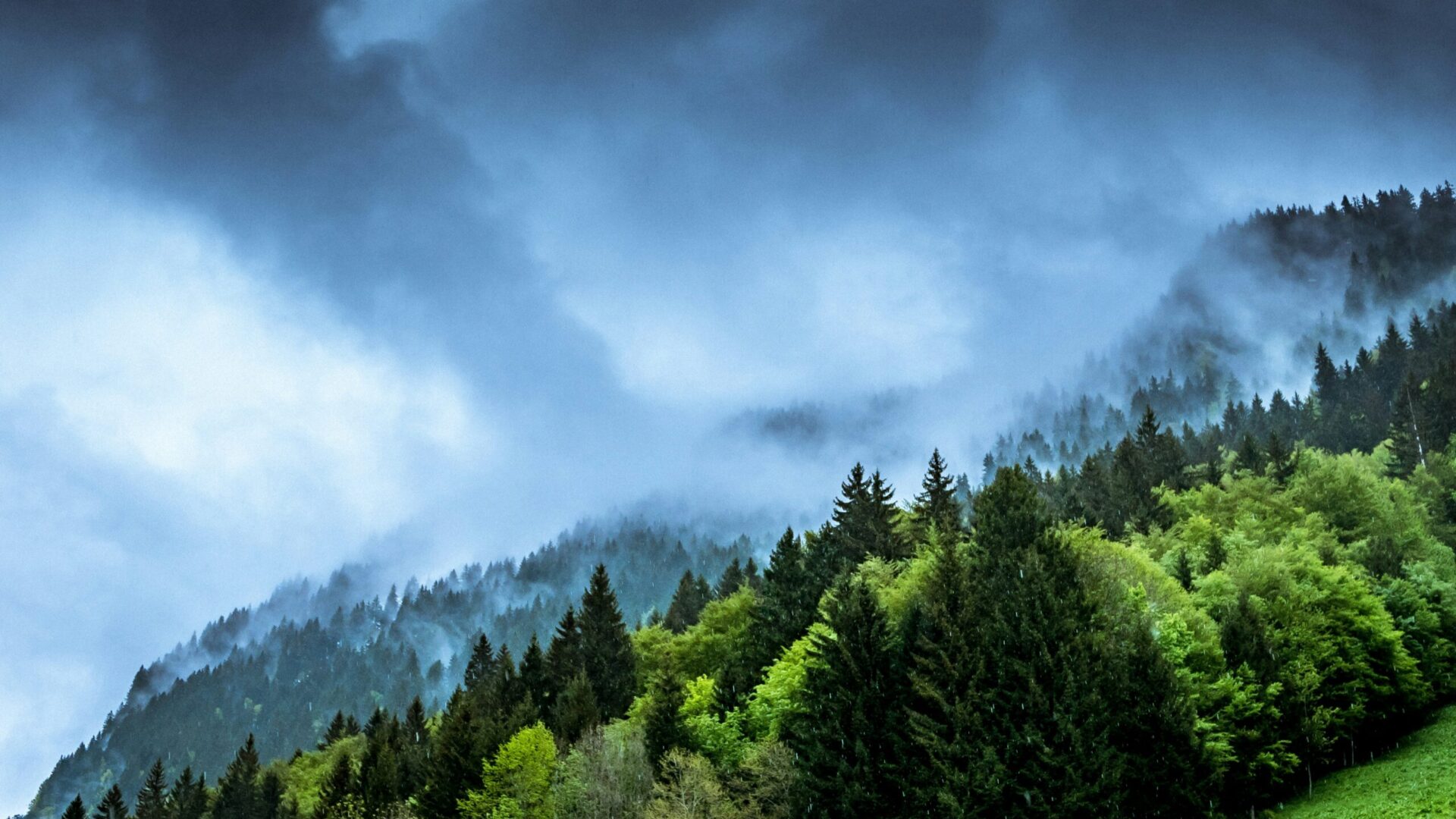 Fot. Unsplash.