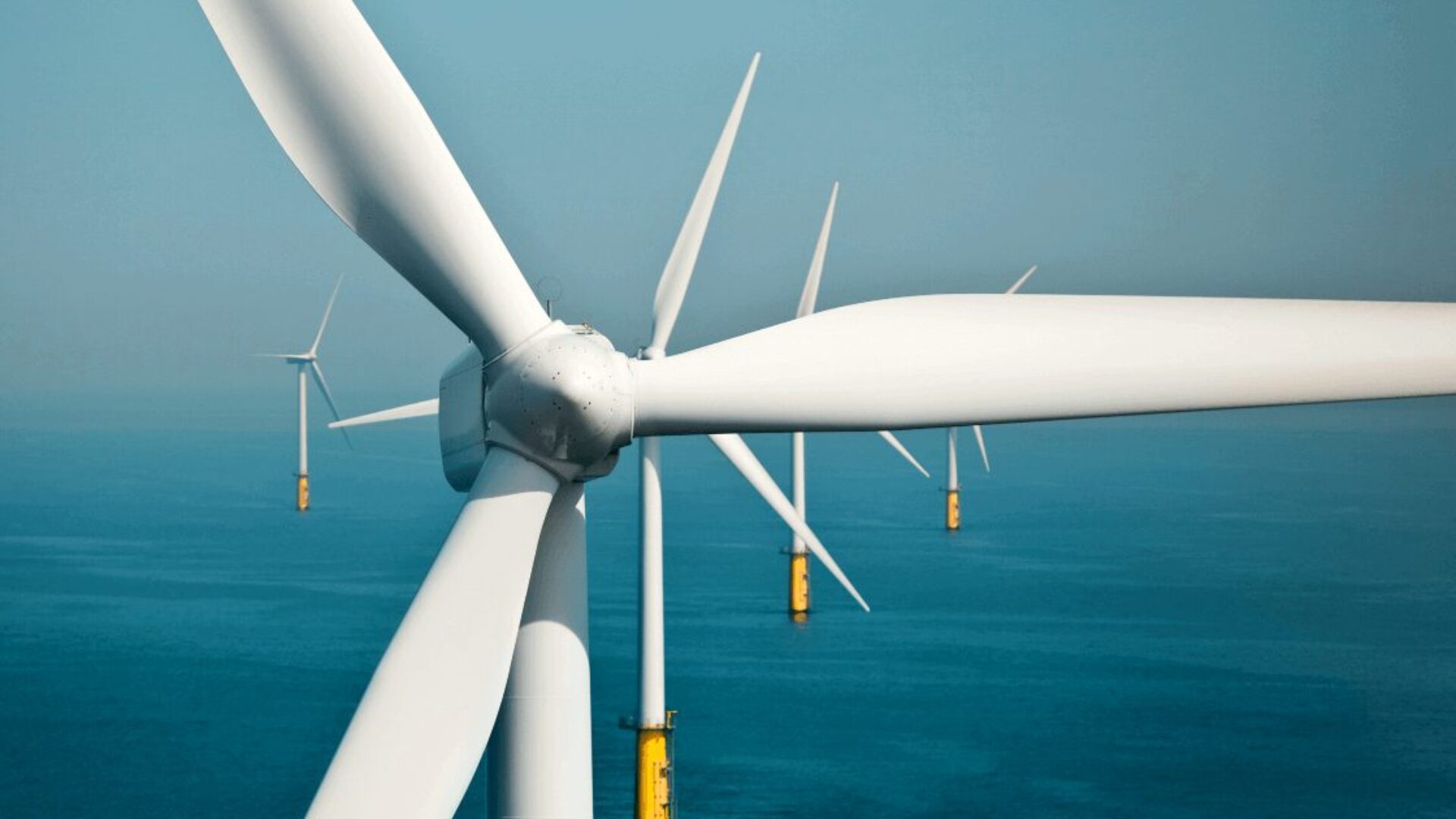 Fot. BC-Wind.