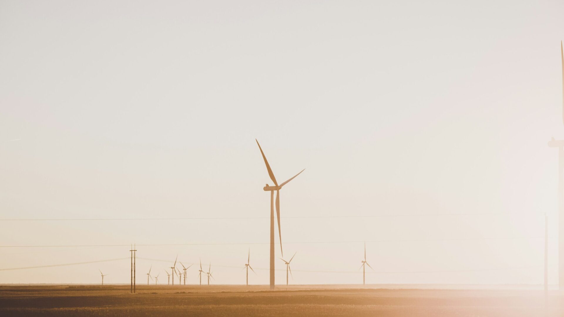 Fot. Unsplash.