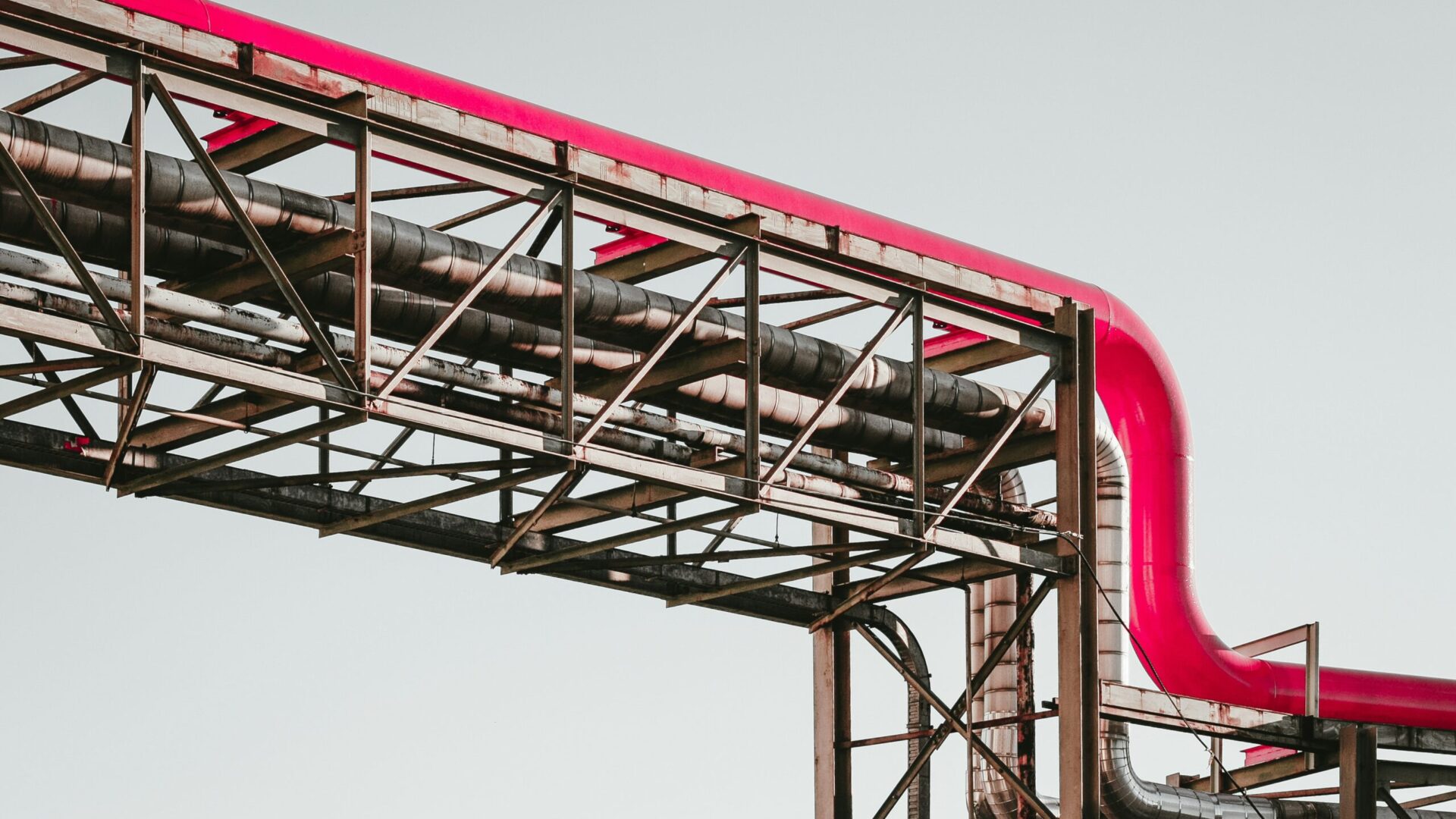 Gaz. Fot. Unsplash.