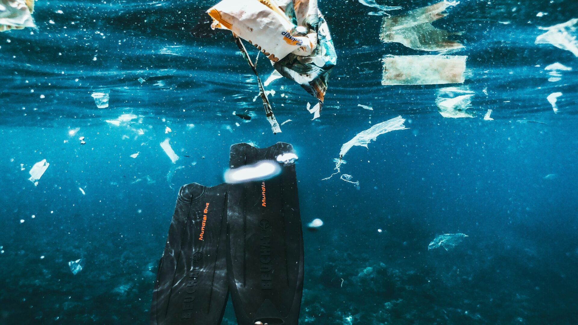 Fot. Unsplash.