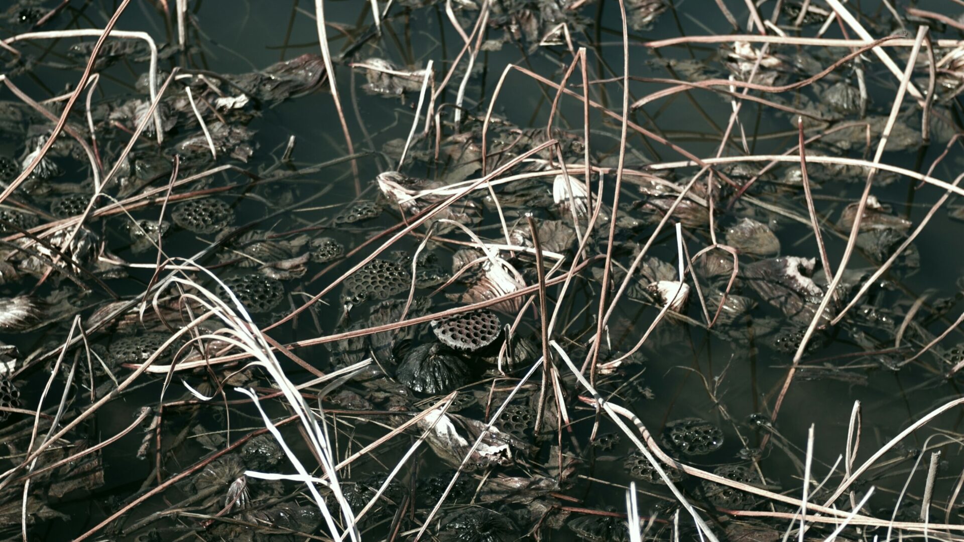 Fot. Unsplash.