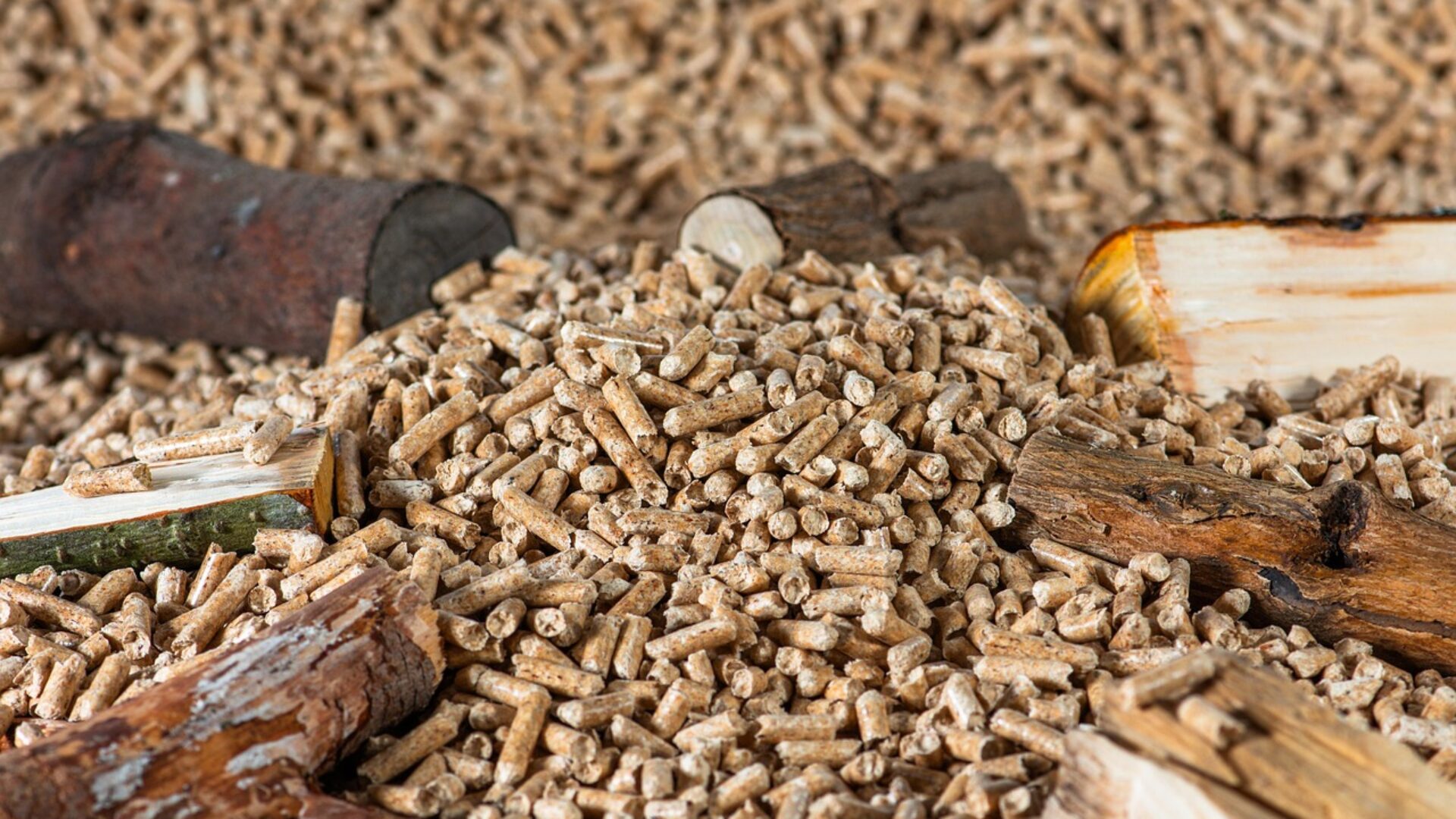 Pellet. Fot. Pixabay.