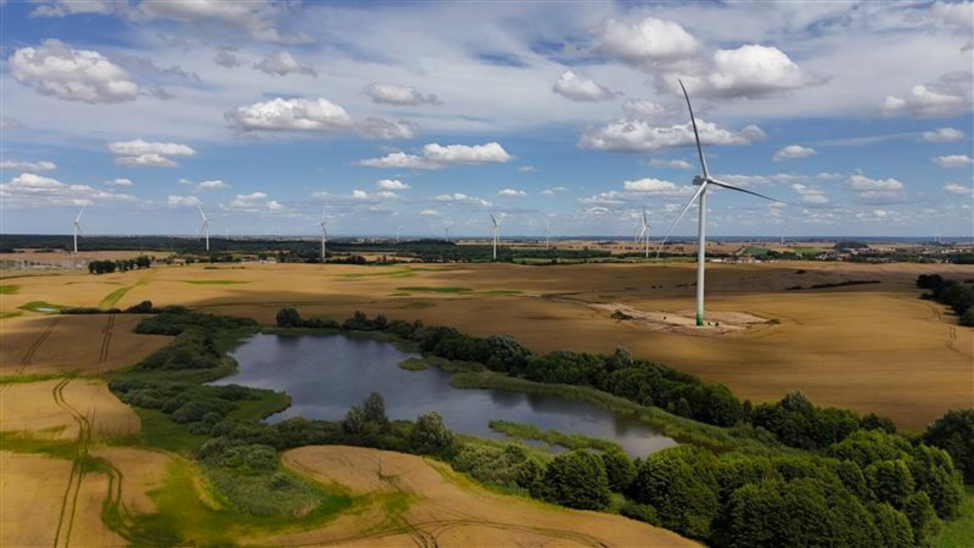 Farma wiatrowa. Fot. Greenvolt.