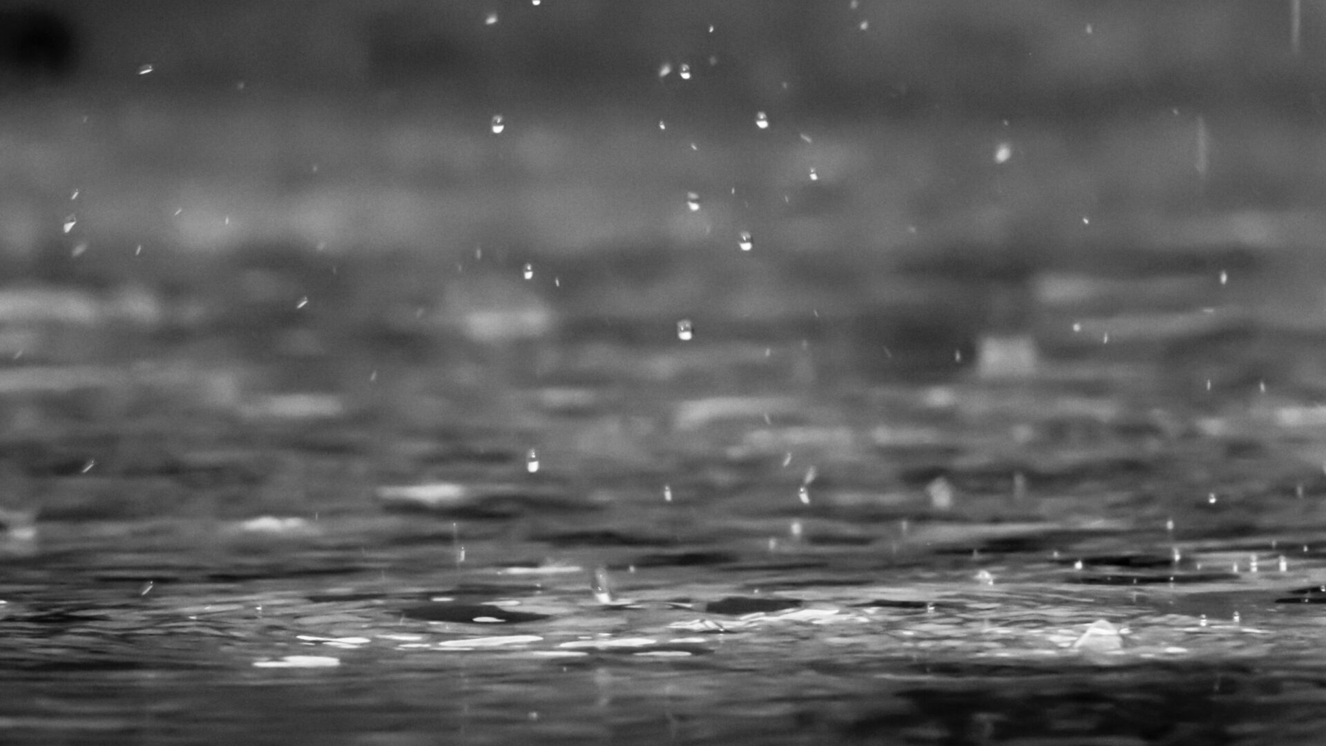 Fot. Unsplash.