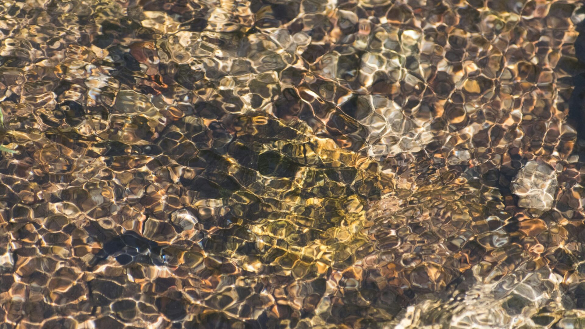 Fot. Unsplash.