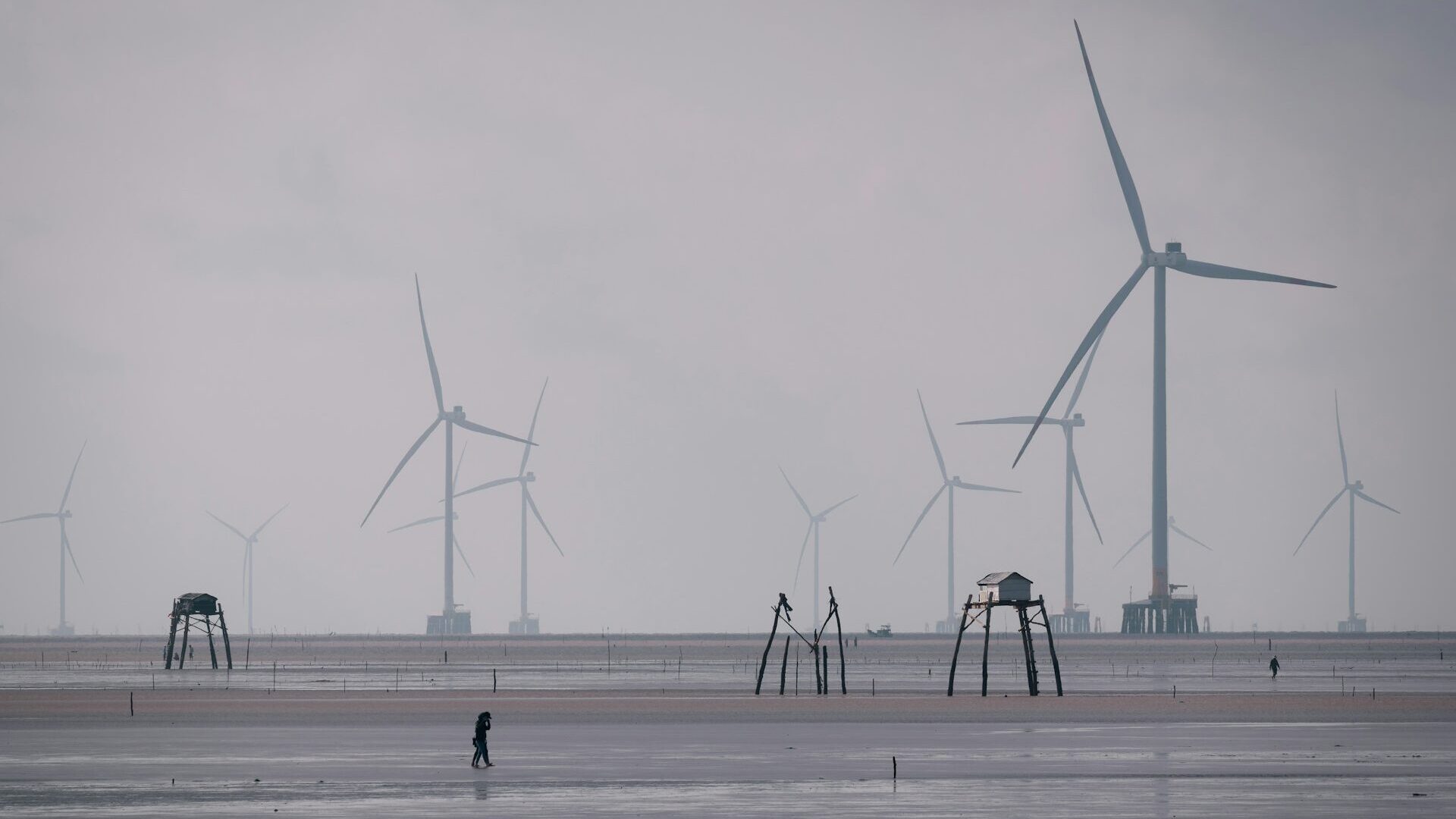 Morskie farmy wiatrowe. Fot. Unsplash.
